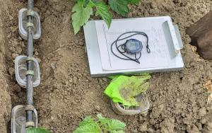 Drip irrigation Distribution Uniformity test