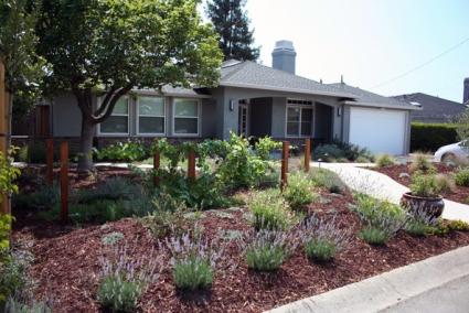 Water wise gardening featuring CA Native plants