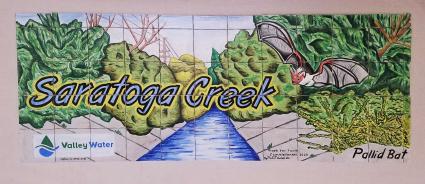 Saratoga Creek Art