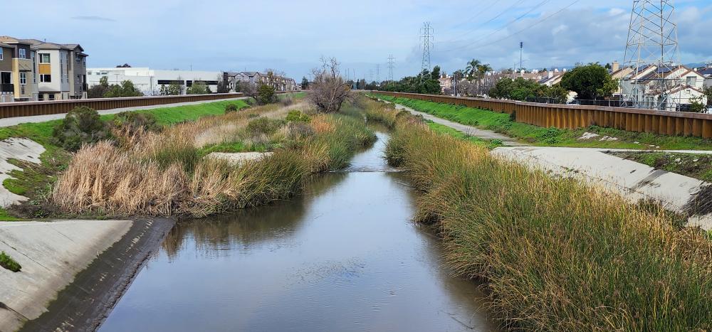 Completed flood protection improvement on Lower Penitencia Creek downstream of California Circle.