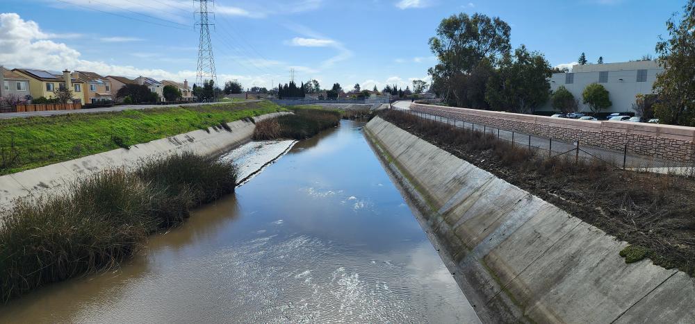 Lower Penitencia Creek upstream of California Circle and Milmont Ave. The new trail sits on the west bank of the creek.