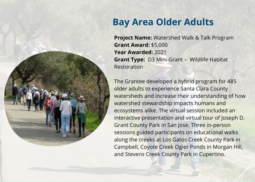 Bay Area Older Adults
