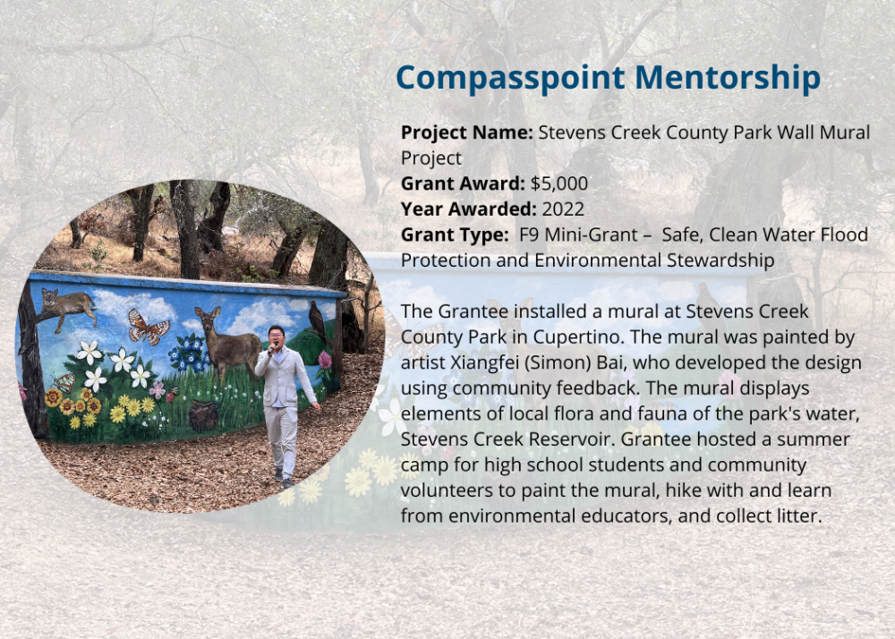 Compasspoint Mentorship