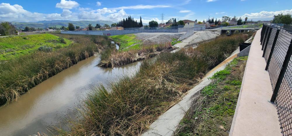 The confluence of Lower Berryessa Creek (left) and Lower Penitencia Creek facing upstream at San Andreas Dr.