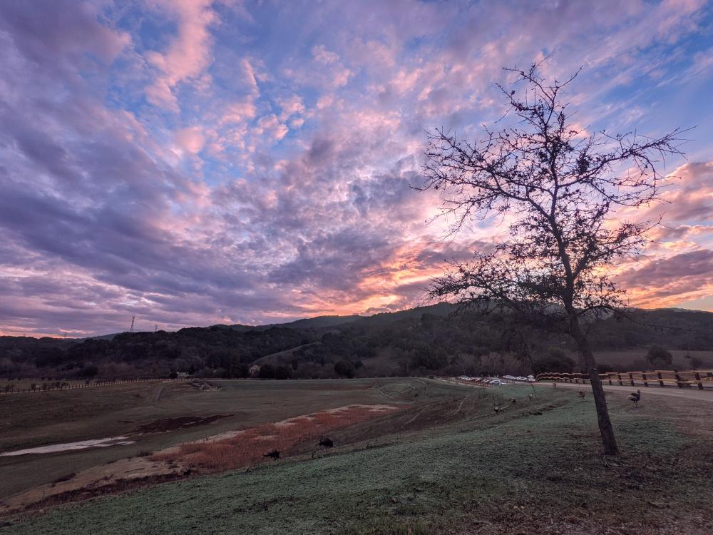 Detention Basin at Rancho San Antonio.
