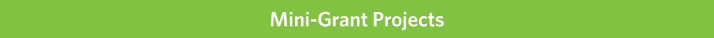Mini-Grant Projects
