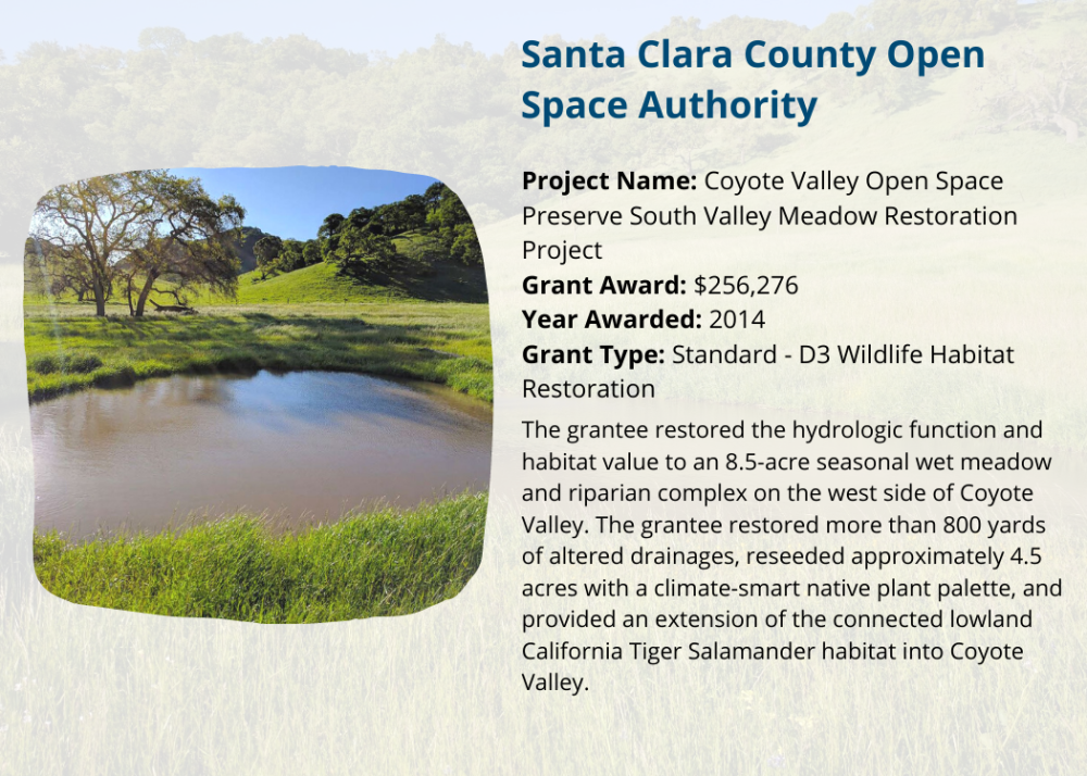 Santa Clara County Coyote Valley Open Space Preserve South Valley Meadow Restoration Project 