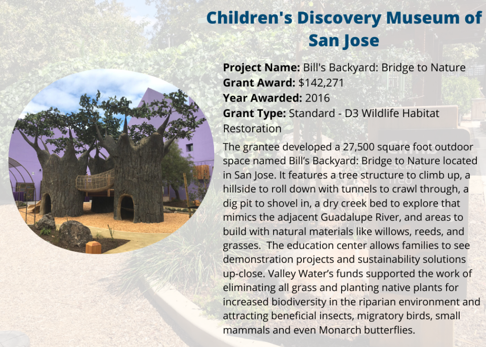 Childrens Discovery Museum of San Jose Bill's Backyard: Bridge to Nature