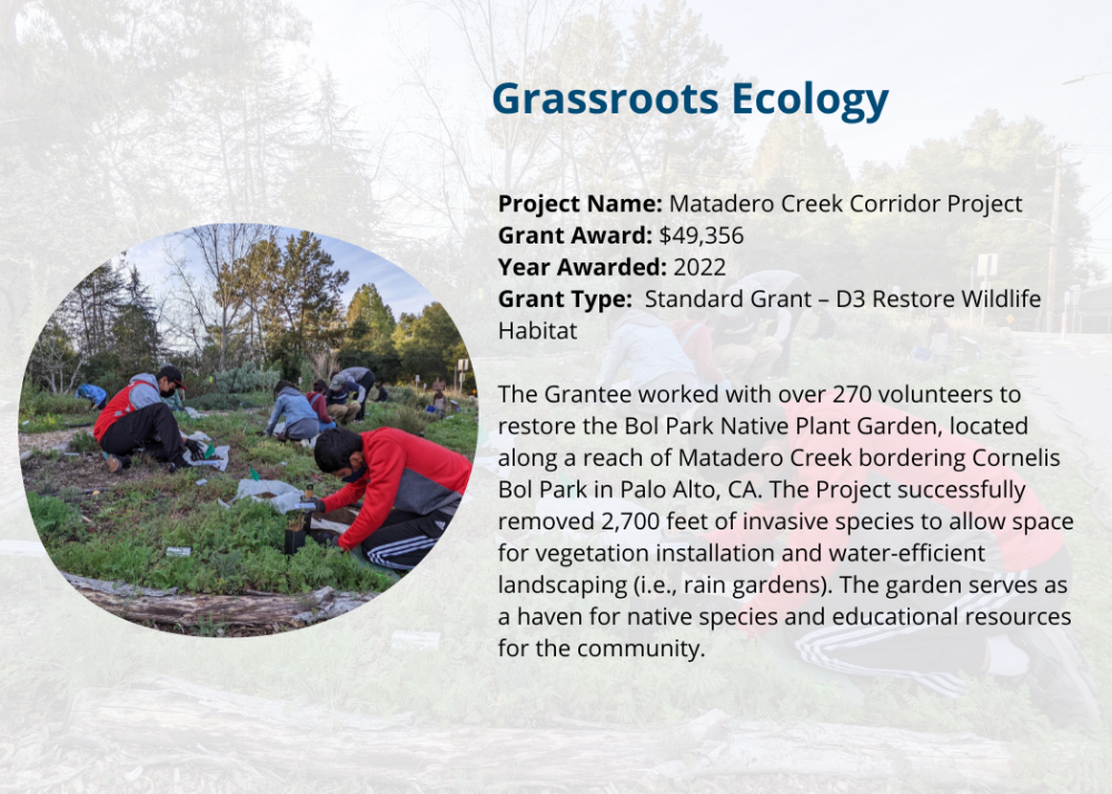 Grassroots Ecology Matadero Creek Corridor Project